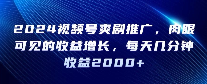 2024视频号爽剧推广，肉眼可见的收益增长，每天几分钟收益2000+【揭秘】-21资源库