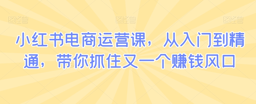 小红书电商运营课，从入门到精通，带你抓住又一个赚钱风口-21资源库