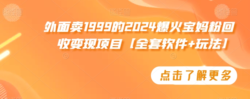 外面卖1999的2024爆火宝妈粉回收变现项目【全套软件+玩法】【揭秘】-21资源库