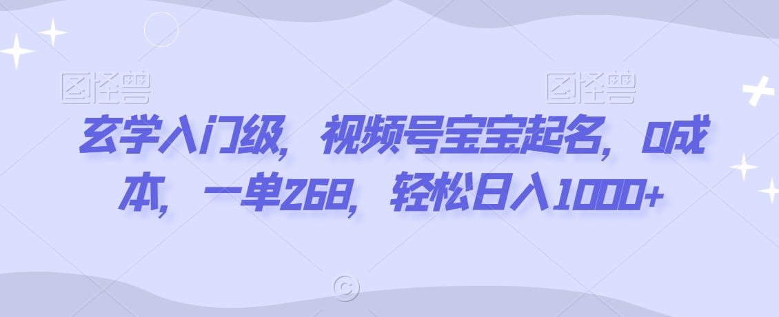 玄学入门级，视频号宝宝起名，0成本，一单268，轻松日入1000+【揭秘】-21资源库