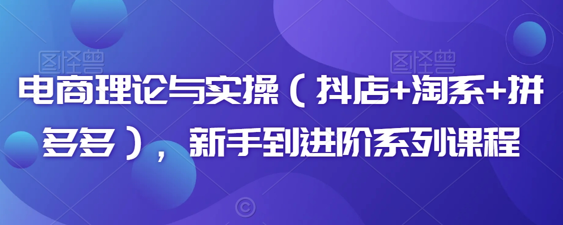 电商理论与实操（抖店+淘系+拼多多），新手到进阶系列课程-21资源库