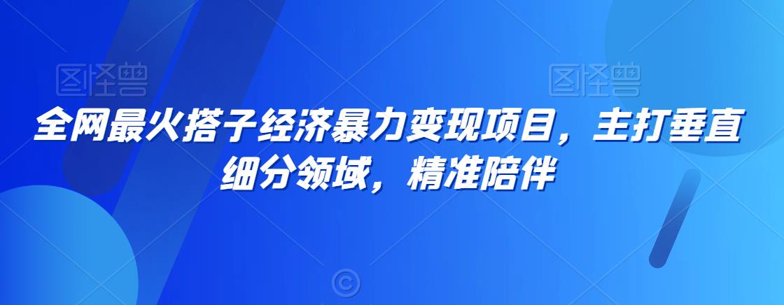 全网最火搭子经济暴力变现项目，主打垂直细分领域，精准陪伴【揭秘】-21资源库
