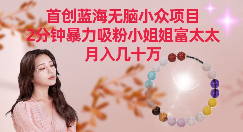 首创蓝海无脑小众项目，2分钟暴力吸粉小姐姐富太太，月入几十万【揭秘】-21资源库