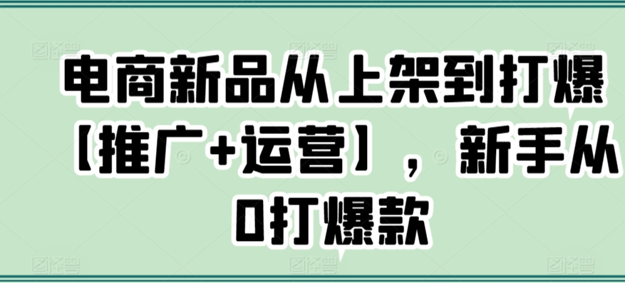 电商新品从上架到打爆【推广+运营】，新手从0打爆款-21资源库