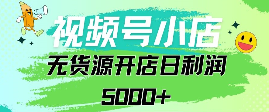 视频号无货源小店从0到1日订单量千单以上纯利润稳稳5000+【揭秘】-21资源库