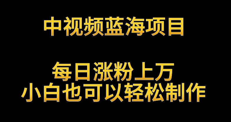 中视频蓝海项目，解读英雄人物生平，每日涨粉上万，小白也可以轻松制作，月入过万不是梦【揭秘】-21资源库
