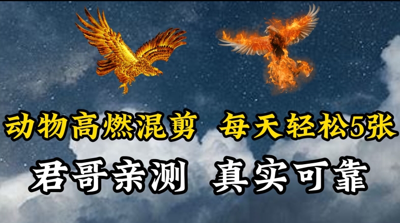 动物超燃混剪，每天轻松5张，剪辑简单大家爱看【揭秘】-21资源库