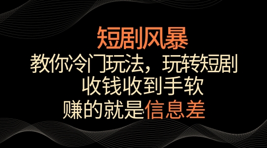 短剧风暴，教你冷门玩法，玩转短剧，收钱收到手软【揭秘】-21资源库