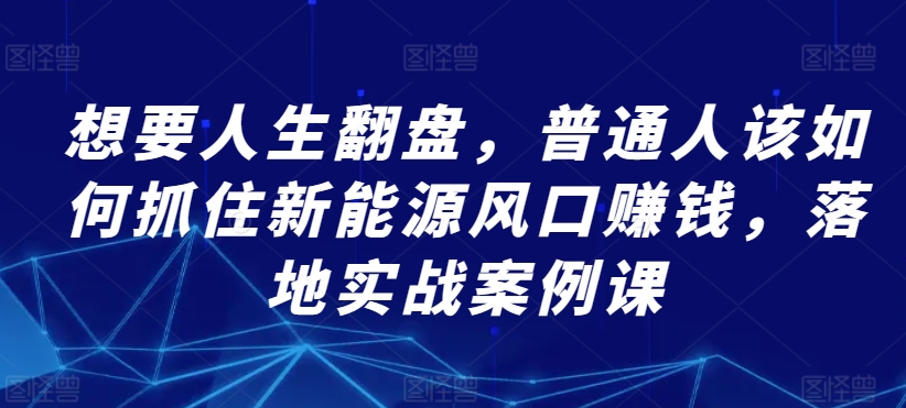 想要人生翻盘，普通人该如何抓住新能源风口赚钱，落地实战案例课-21资源库