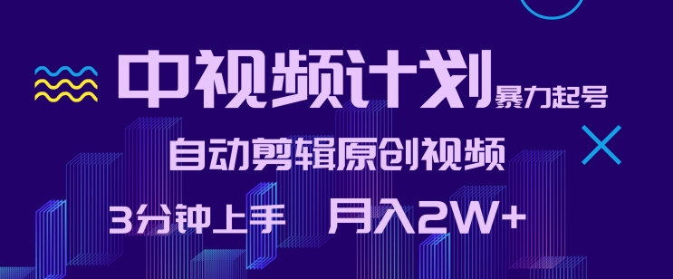 中视频计划暴力起号，自动剪辑原创视频，3分钟上手，月入2W+【揭秘】-21资源库