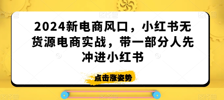 2024新电商风口，小红书无货源电商实战，带一部分人先冲进小红书-21资源库