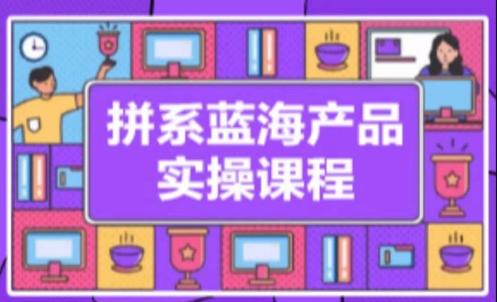 拼系冷门蓝海产品实操课程，从注册店铺到选品上架到流量维护环环相扣-21资源库