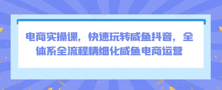 电商实操课，快速玩转咸鱼抖音，全体系全流程精细化咸鱼电商运营-21资源库