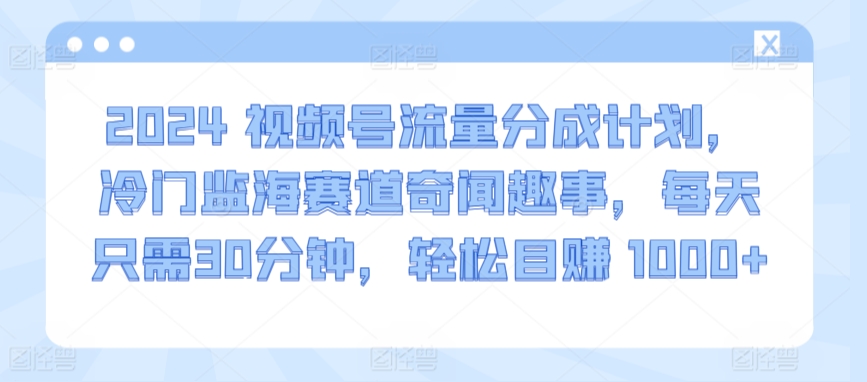 2024视频号流量分成计划，冷门监海赛道奇闻趣事，每天只需30分钟，轻松目赚 1000+【揭秘】-21资源库