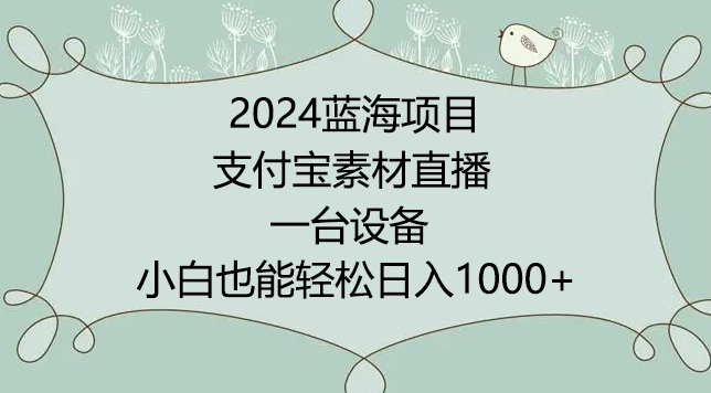 2024年蓝海项目，支付宝素材直播，无需出境，小白也能日入1000+ ，实操教程【揭秘】-21资源库