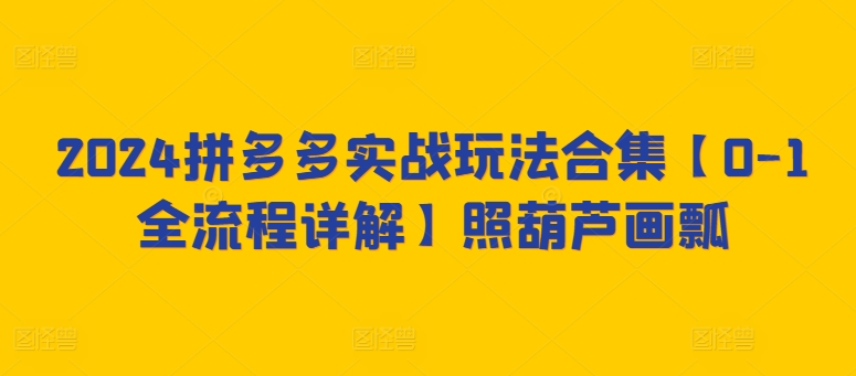 2024拼多多实战玩法合集【0-1全流程详解】照葫芦画瓢-21资源库