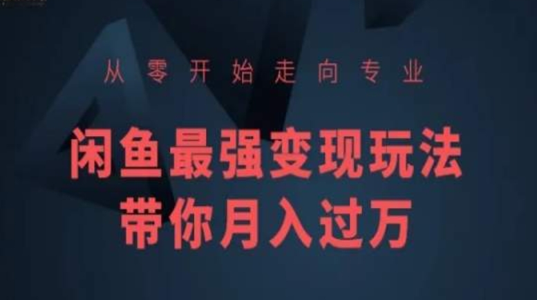 从零开始走向专业，闲鱼最强变现玩法带你月入过万-21资源库