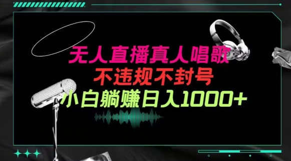 抖音24小时无人直播音乐，不违规，不封号纯撸音浪，小白实操当天日入1000+【揭秘】-21资源库