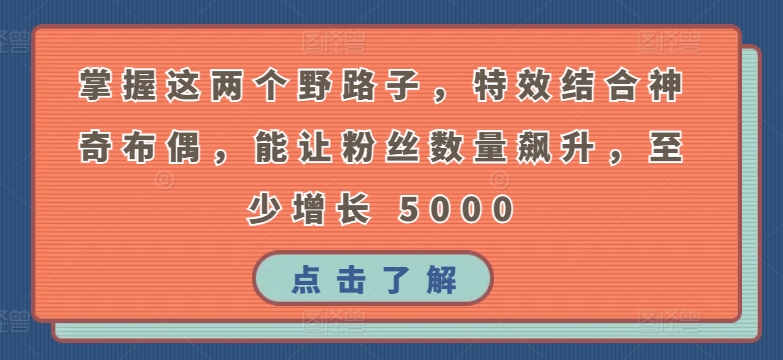 掌握这两个野路子，特效结合神奇布偶，能让粉丝数量飙升，至少增长 5000【揭秘】-21资源库
