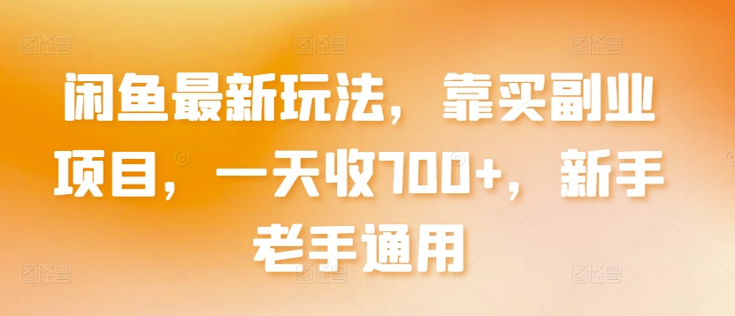 闲鱼最新玩法，靠买副业项目，一天收700+，新手老手通用【揭秘】-21资源库