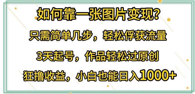 如何靠一张图片变现?只需简单几步，轻松俘获流量，3天起号，作品轻松过原创【揭秘】-21资源库