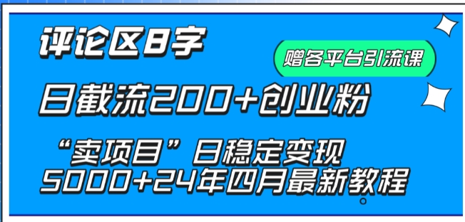 抖音评论区8字日截流200+创业粉 “卖项目”日稳定变现5000+【揭秘】-21资源库