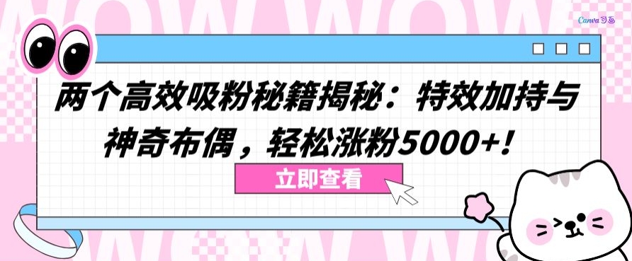 两个高效吸粉秘籍揭秘：特效加持与神奇布偶，轻松涨粉5000+【揭秘】-21资源库