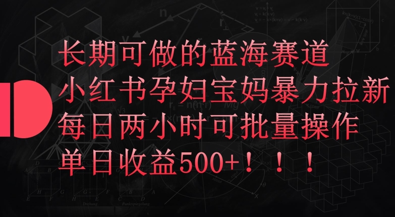 长期可做的蓝海赛道，小红书孕妇宝妈暴力拉新玩法，每日两小时可批量操作，单日收益500+【揭秘】-21资源库
