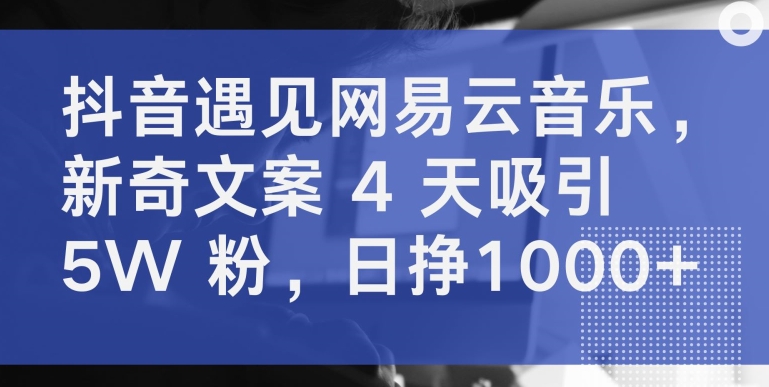 抖音遇见网易云音乐，新奇文案 4 天吸引 5W 粉，日挣1000+【揭秘】-21资源库