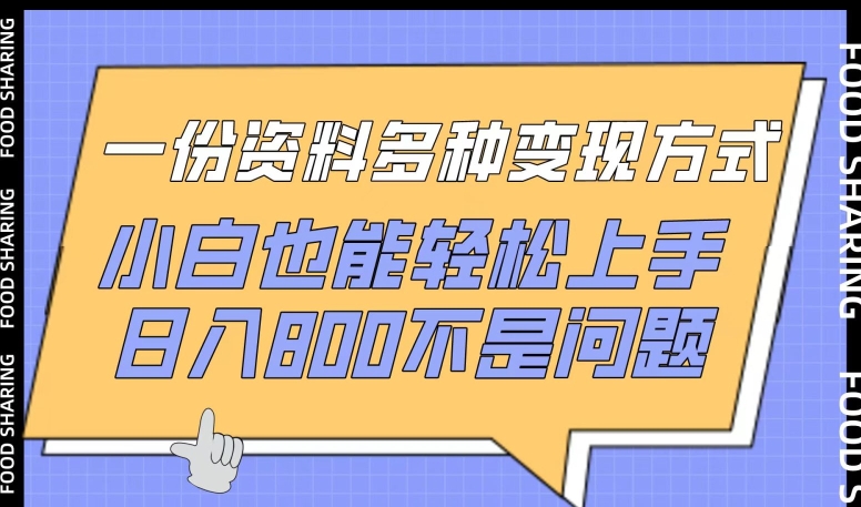 一份资料多种变现方式，小白也能轻松上手，日入800不是问题【揭秘】-21资源库