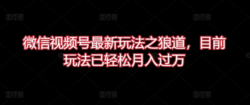 微信视频号最新玩法之狼道，目前玩法已轻松月入过万【揭秘】-21资源库