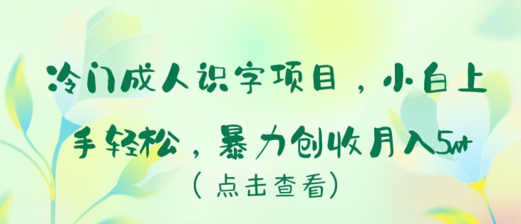 冷门成人识字项目，小白上手轻松，暴力创收月入5w+【揭秘】-21资源库
