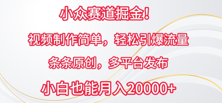 小众赛道掘金，视频制作简单，轻松引爆流量，条条原创，多平台发布【揭秘】-21资源库