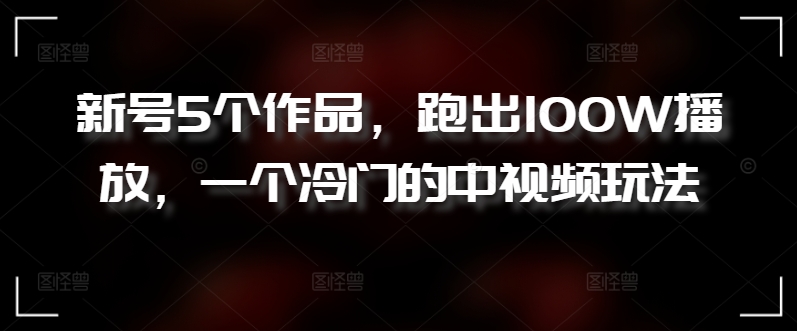 新号5个作品，跑出100W播放，一个冷门的中视频玩法【揭秘】-21资源库