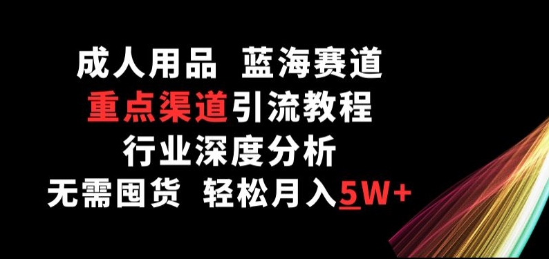 成人用品，蓝海赛道，重点渠道引流教程，行业深度分析，无需囤货，轻松月入5W+【揭秘】-21资源库