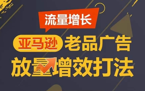 流量增长 亚马逊老品广告放量增效打法，短期内广告销量翻倍-21资源库