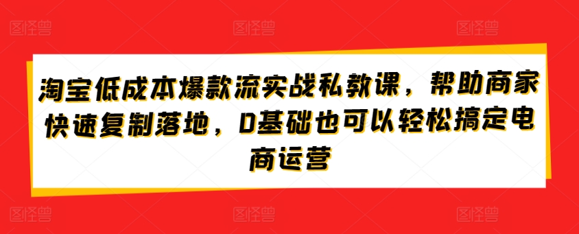 淘宝低成本爆款流实战私教课，帮助商家快速复制落地，0基础也可以轻松搞定电商运营-21资源库