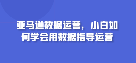 亚马逊数据运营，小白如何学会用数据指导运营-21资源库