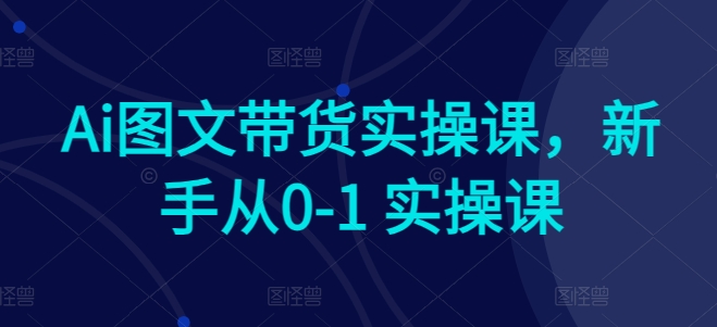 Ai图文带货实操课，新手从0-1 实操课-21资源库