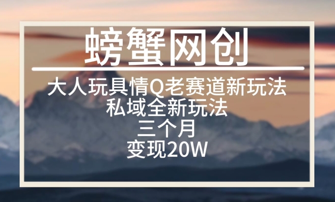 大人玩具情Q用品赛道私域全新玩法，三个月变现20W，老项目新思路【揭秘】-21资源库
