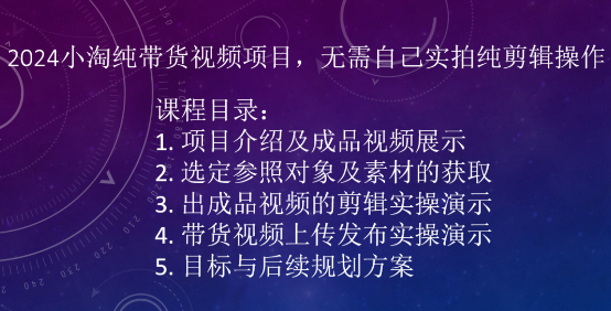 2024小淘纯带货视频项目，无需自己实拍纯剪辑操作-21资源库