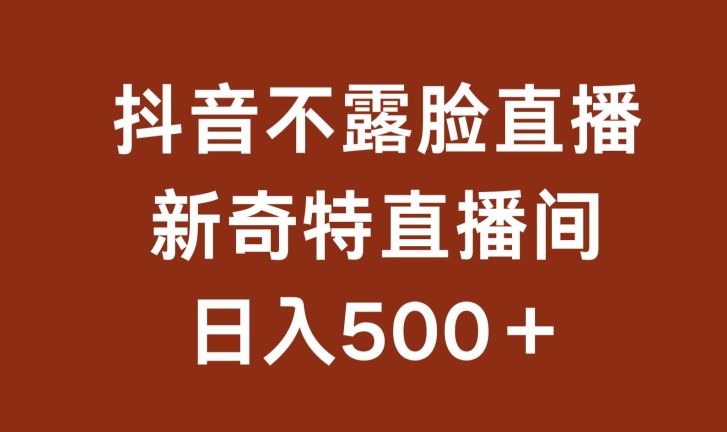 不露脸挂机直播，新奇特直播间，日入500+【揭秘】-21资源库