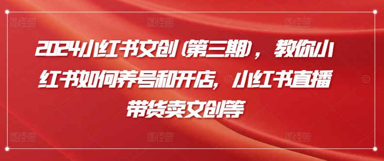 2024小红书文创(第三期)，教你小红书如何养号和开店，小红书直播带货卖文创等-21资源库