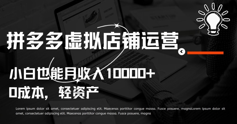 拼多多虚拟店铺运营小白也能月收入10000+【揭秘】-21资源库
