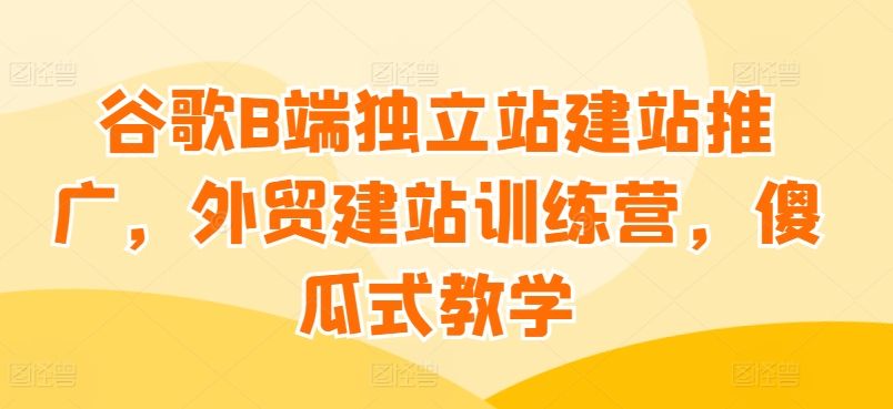 谷歌B端独立站建站推广，外贸建站训练营，傻瓜式教学-21资源库