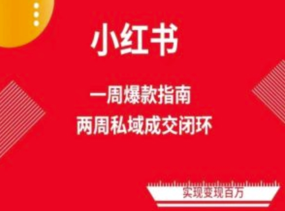 爆款小红书免费流量体系课程(两周变现)，小红书电商教程-21资源库