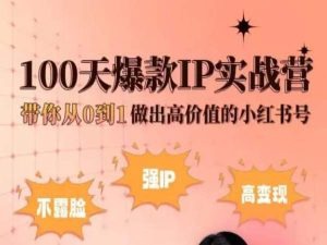 小红书100天爆款IP实战营，带你从0到1做出高价值的小红书号-21资源库