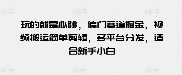 玩的就是心跳，偏门赛道掘金，视频搬运简单剪辑，多平台分发，适合新手小白【揭秘】-21资源库