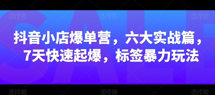 抖音小店爆单营，六大实战篇，7天快速起爆，标签暴力玩法-21资源库