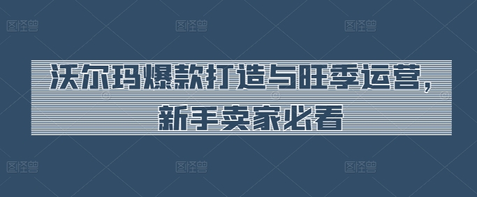沃尔玛爆款打造与旺季运营，新手卖家必看-21资源库